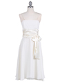 Ivory Tea Length Dress