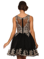 30-6012 Sleeveless Embroidered Fit and Flare Cocktail Dress - Black, Front View Thumbnail