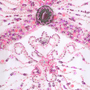 White/Fushia Bead Silk Gown White/Fushia Bead Silk Gown