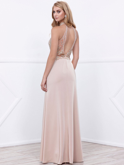 80-8319 Sleeveless Long Prom Dress with Open-Back - Cappuccino, Back View Medium