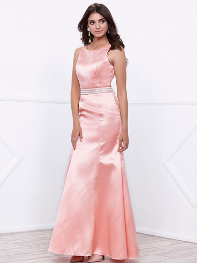 80-8320 Sleeveless Long Prom Dress with Cutout Back - Rose, Front View Medium
