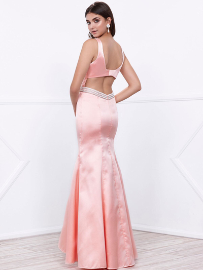 80-8320 Sleeveless Long Prom Dress with Cutout Back - Rose, Alt View Medium