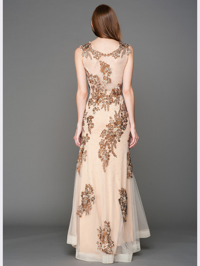 A636 Embroidery Sheer Evening Dress  - Brown, Back View Medium