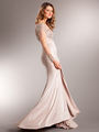 AC707 Long Chiffon Sleeves Crystal Evening Gown - Champagne, Back View Thumbnail