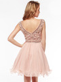 AC719 Beads and Sequin Bodice Homecoming Dress - Blush, Back View Thumbnail