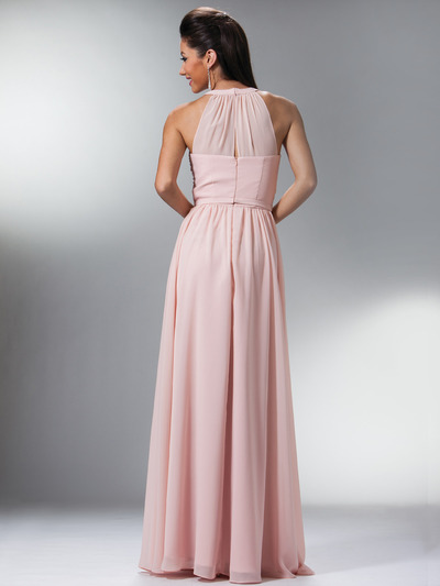 C1469 Illusion Evening Dress - Blush, Back View Medium