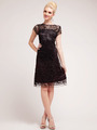 C1921 Lace Overlay Sheath Cocktail Dress - Black, Front View Thumbnail