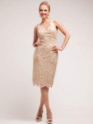 C1932 Lace Embroidery Knee Length Dress, Champagne