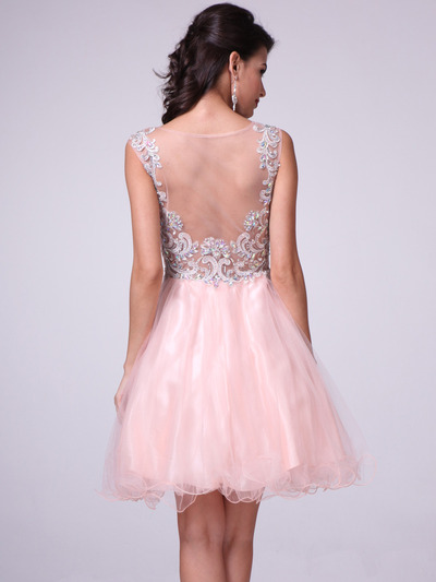 C27 Embellished Tulle Fit & Flare Homecoming Dress - Peach, Back View Medium