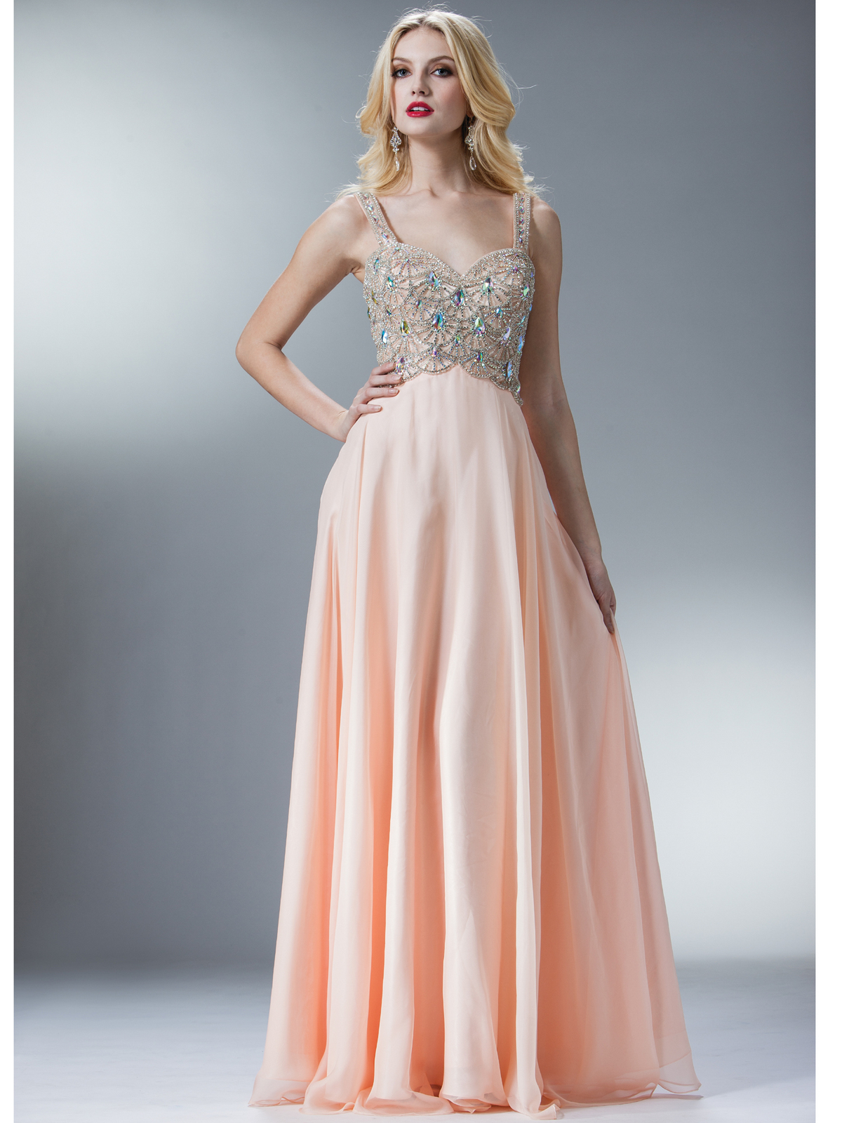 Blush A-line Chiffon Prom Dress - Sung Boutique L.A.