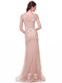 CD-44 Sheer Lace Applique Formal Dress - Champagne, Back View Thumbnail