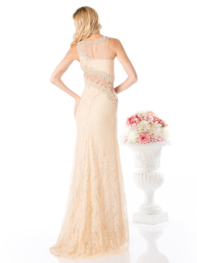 CD-8909 Lace Sheer Evening Dress with Illusion Neck - Gold, Back View Medium