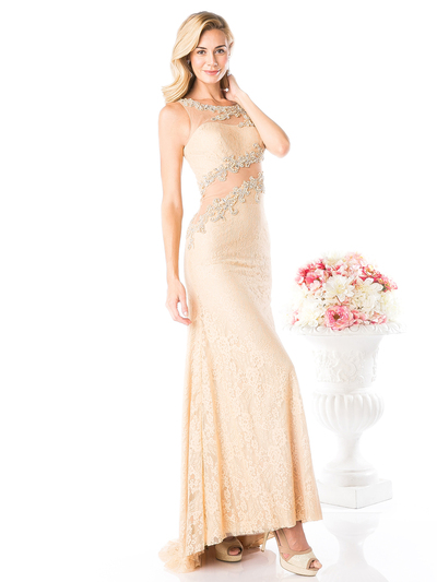 CD-8909 Lace Sheer Evening Dress with Illusion Neck - Gold, Front View Medium