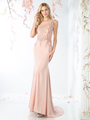 CD-8911 Illusion Neck A-line Evening Dress with Train - Blush, Front View Thumbnail