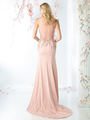 CD-8911 Illusion Neck A-line Evening Dress with Train - Blush, Back View Thumbnail