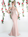CD-8912 Long Beaded Evening Dress with Illusion Bodice - Dustyrose, Front View Thumbnail