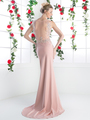 CD-8912 Long Beaded Evening Dress with Illusion Bodice - Dustyrose, Back View Thumbnail