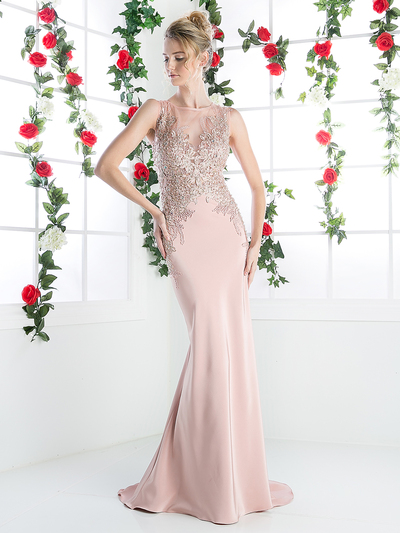 CD-8912 Long Beaded Evening Dress with Illusion Bodice - Dustyrose, Front View Medium