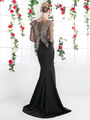 CD-8916 Illusion Embellished Long Evening Dress  - Black, Back View Thumbnail