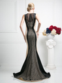 CD-CB764 Two Toned Evening Gown with Lace Panel - Black Nude, Back View Thumbnail