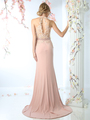 CD-CD491 Halter Applique Long Prom Dress with Train - Blush, Back View Thumbnail