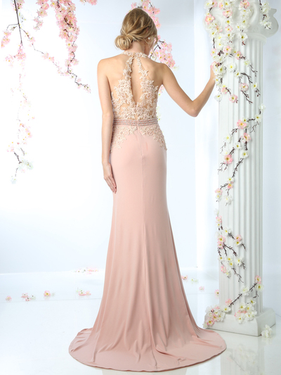 CD-CD491 Halter Applique Long Prom Dress with Train - Blush, Back View Medium