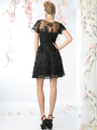 CD-CF027 Short Sleeve Lace Overlay Cocktail Dress - Black, Back View Thumbnail