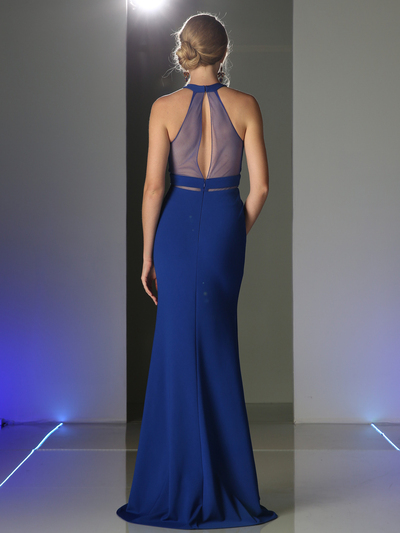 CD-CF088 Illusion Prom Evening Dress with Panel Front - Royal, Back View Medium