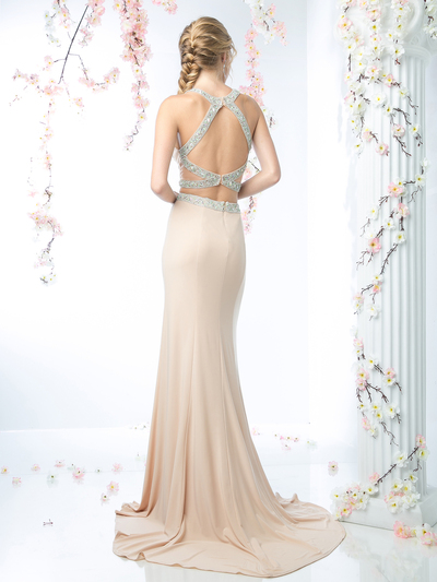 CD-CK11 Two Piece Prom Dress with Train - Champagne, Back View Medium