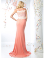 CD-CR702 Long Evening Dress with Floral Applique Top - Salmon, Back View Thumbnail