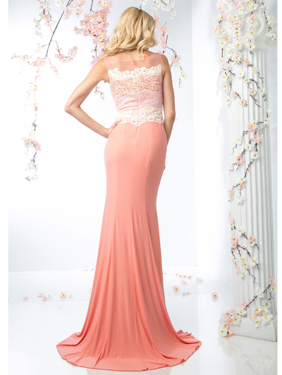 CD-CR702 Long Evening Dress with Floral Applique Top - Salmon, Back View Medium