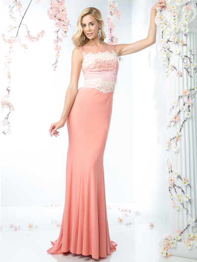 CD-CR702 Long Evening Dress with Floral Applique Top - Salmon, Front View Medium