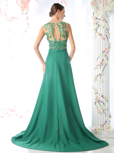 CD-P105 Embroidered Illusion Evening Dress - Green, Back View Medium