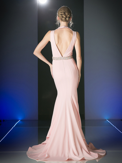 CD-P107 Elegant Long Evening Dress - Blush, Back View Medium