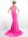 CD-P107 Elegant Long Evening Dress - Fuchsia, Back View Thumbnail