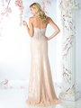 CD-R2014 Sequined gown with lace applique bodice - Champagne, Back View Thumbnail