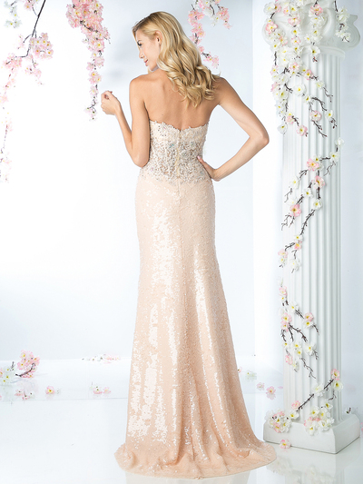 CD-R2014 Sequined gown with lace applique bodice - Champagne, Back View Medium