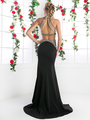 FY-CK23 Halter Top Evening Dress with Open Back - Black, Back View Thumbnail