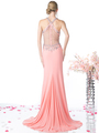 FY-CR720 Halter Illusion Beaded Mermaid Evening Dress - Rose, Back View Thumbnail