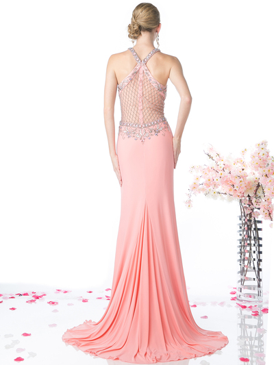 FY-CR720 Halter Illusion Beaded Mermaid Evening Dress - Rose, Back View Medium