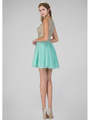 GS1336D Illusion Neckline Homecoming Mini Chiffon Gown - Tiffany, Back View Thumbnail