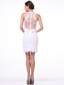 JC3455 Illusion Yoke Embroidery Sheath Dress         - Off White, Back View Thumbnail