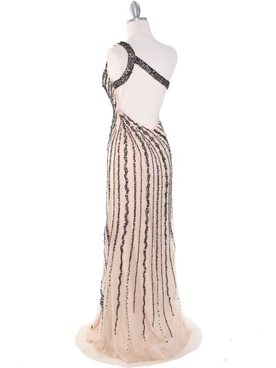 2163 Champagne Black Net Overlay Beaded Embroidery Long Evening Dress - Champagne, Back View Medium