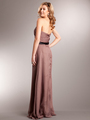 AC321 Strapless Chiffon Evening Dress - Brown, Back View Thumbnail
