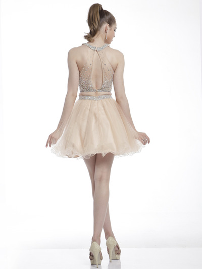 C8804 Two-Piece Short Homecoming Dress - Gold, Back View Medium