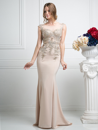 CD-35 Embellised Cap Sleeves Long Evening Dress - Cream, Front View Medium