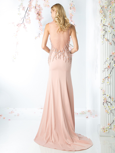 CD-8911 Illusion Neck A-line Evening Dress with Train - Blush, Back View Medium