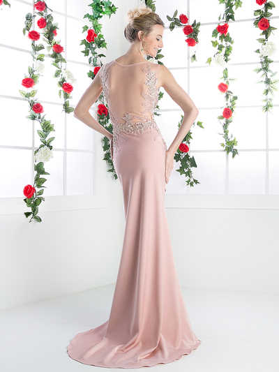 CD-8912 Long Beaded Evening Dress with Illusion Bodice - Dustyrose, Back View Medium