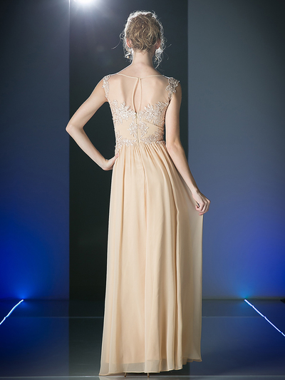 CD-CF005 Illusion Scope Neck Evening Dress - Gold, Back View Medium