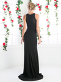 CD-CK47 Sleeveless Long Evening Dress - Black, Back View Thumbnail
